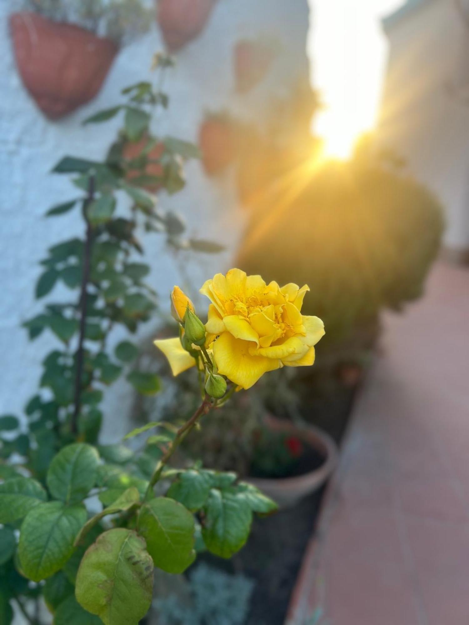 Hotel Rosa Dei Venti Cagliari Exterior foto